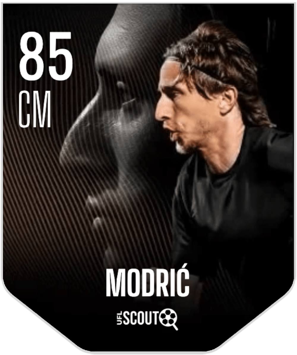 Luka Modric (CM, 86) Unique Skin
